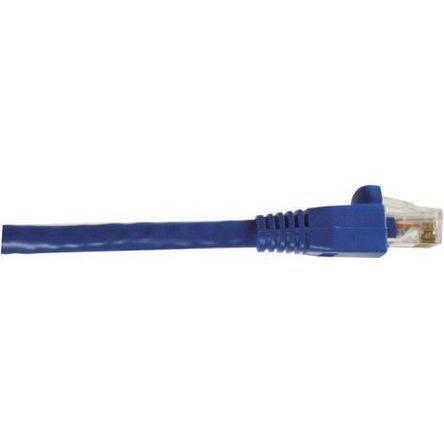 RS PRO, 2m Cat6, Blue RJ45 to Male RJ45 Male, U/UTP Unshielded, Terminated LSZH Sheath