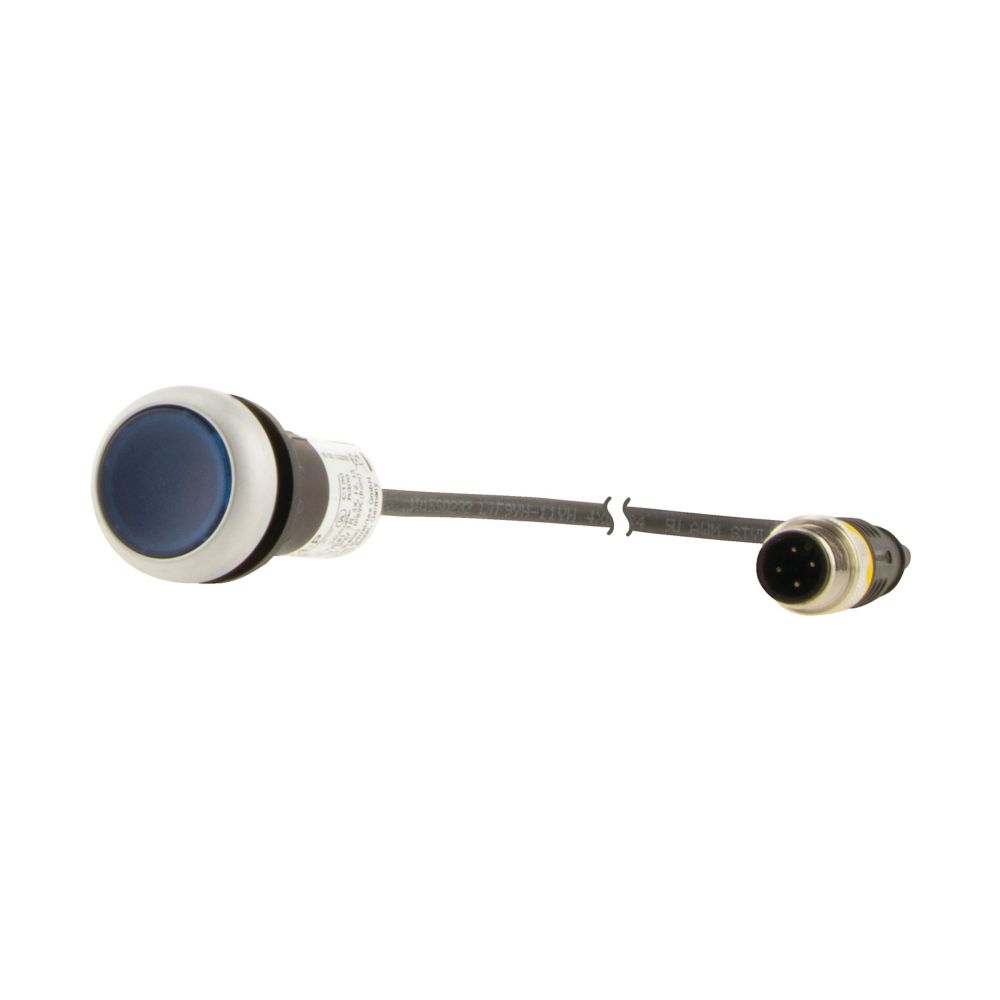 Eaton C22 Series Illuminated Push Button, Momentary, Panel Mount, 22mm Cutout, SPST, Blue LED, 24V, IP67, IP69K