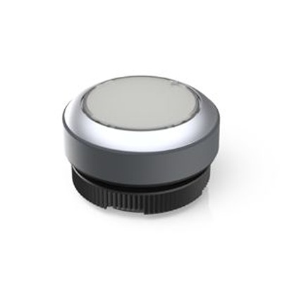 RAFI RAFIX 22 Series Illuminated Illuminated Push Button Switch, Momentary, Through Hole, 22.3mm Cutout, 250V, IP65