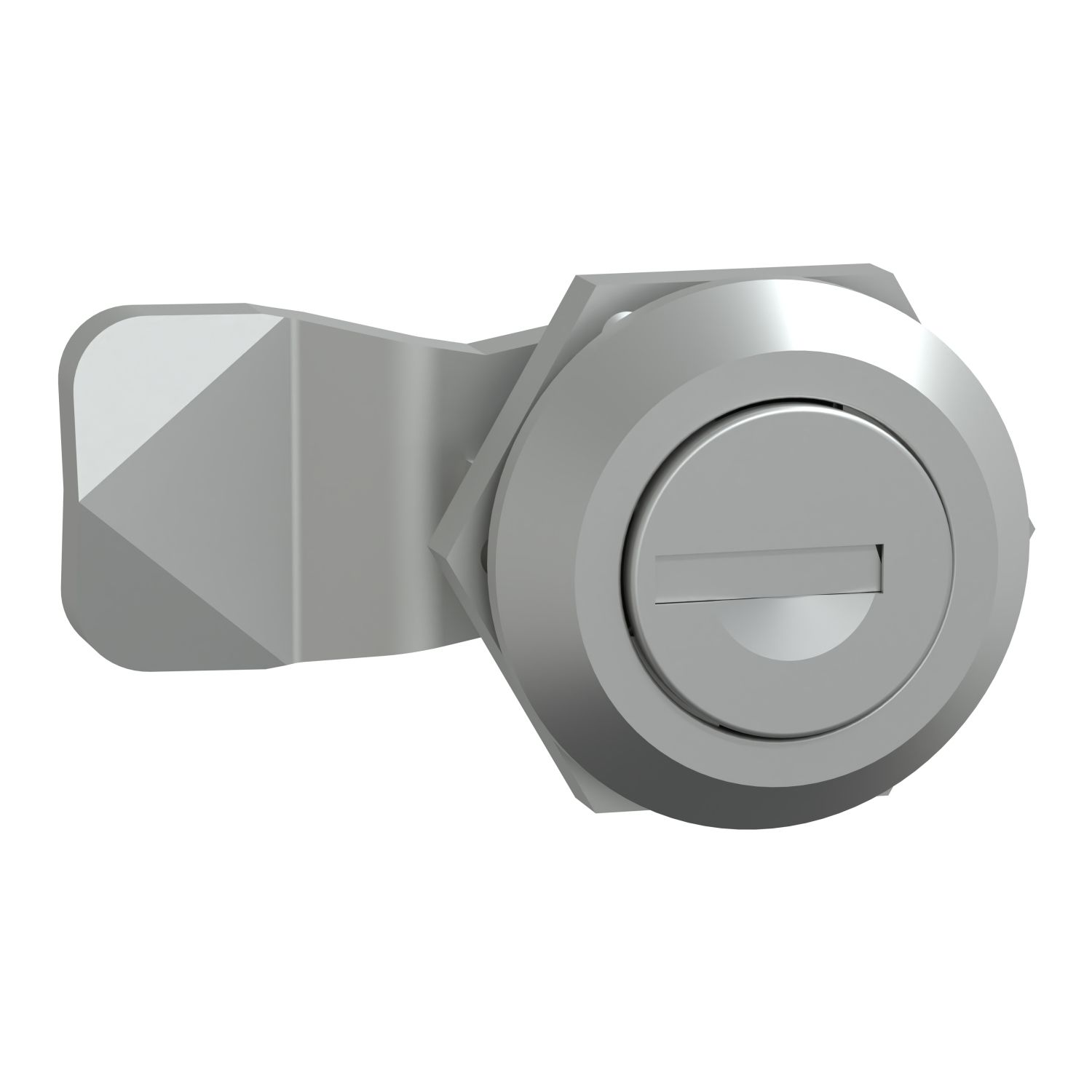 Schneider Electric NSYCLL Series Grey Steel Lock