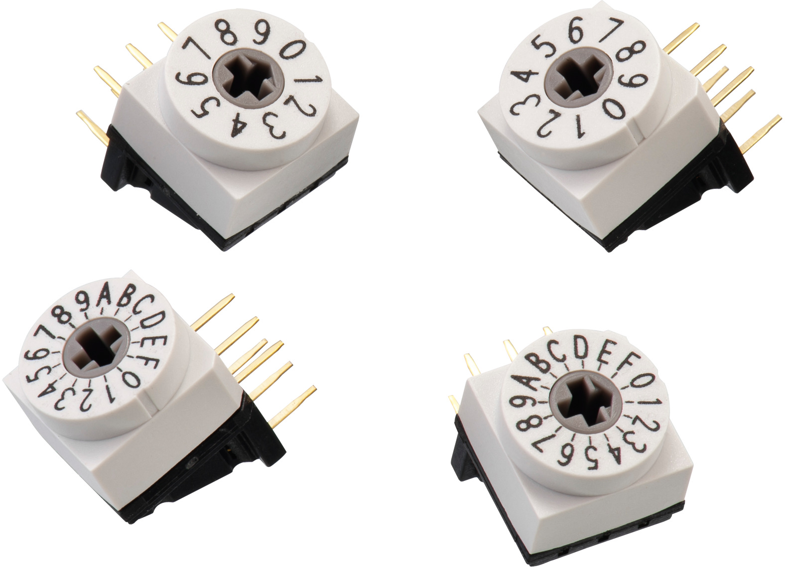 Wurth Elektronik WS-ROTU, 16 Position, BCD Rotary Switch, 150mA, THT