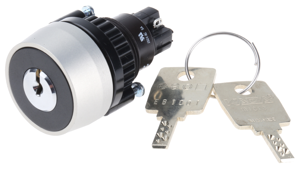 EAO IP65 Keylock Switch, 1NC+1NO, 5 A @ 250 V ac 2-Way Flat-Key