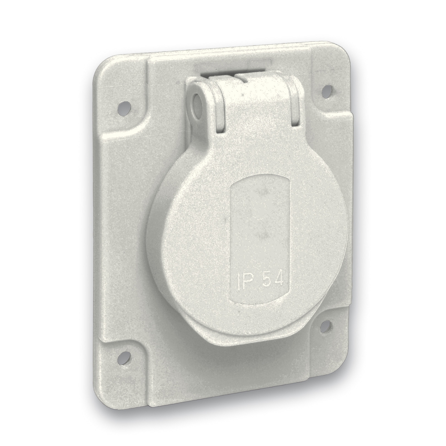 Schneider Electric Grey Plug Socket, 2 Poles, 10 A, 16 A, French 2P