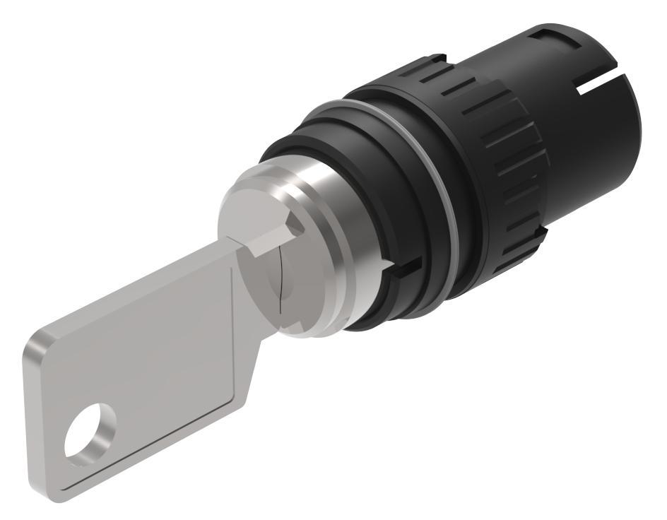 EAO IP65 Keylock Switch, 5 A 2-Way Standard-Key