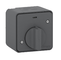 Schneider Electric Grey Timer Light Switch, 1 Gang, Mureva Styl