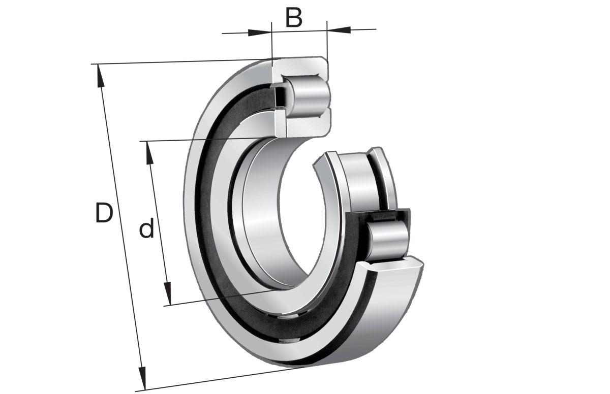 FAG NUP2206-E-XL-TVP2 30 mm ID Roller Bearing, 62 mm OD