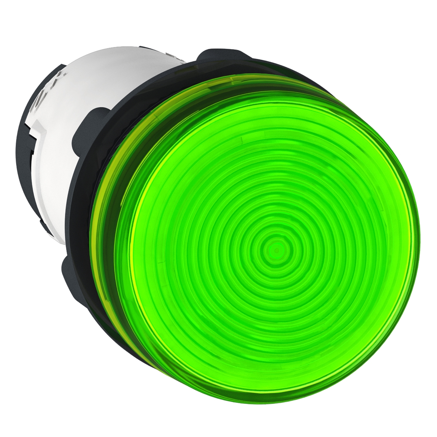 Schneider Electric, Harmony, Panel Mount Green Incandescent Pilot Light, 22mm Cutout, IP54, Round, 230V ac