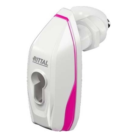 Rittal RAL 7035 Die Cast Zinc Locking Handle