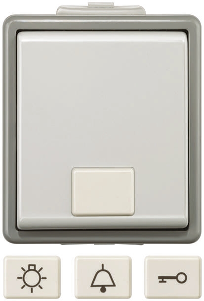 Siemens Grey Push Button Light Switch, 1 Way, 1 Gang, Delta