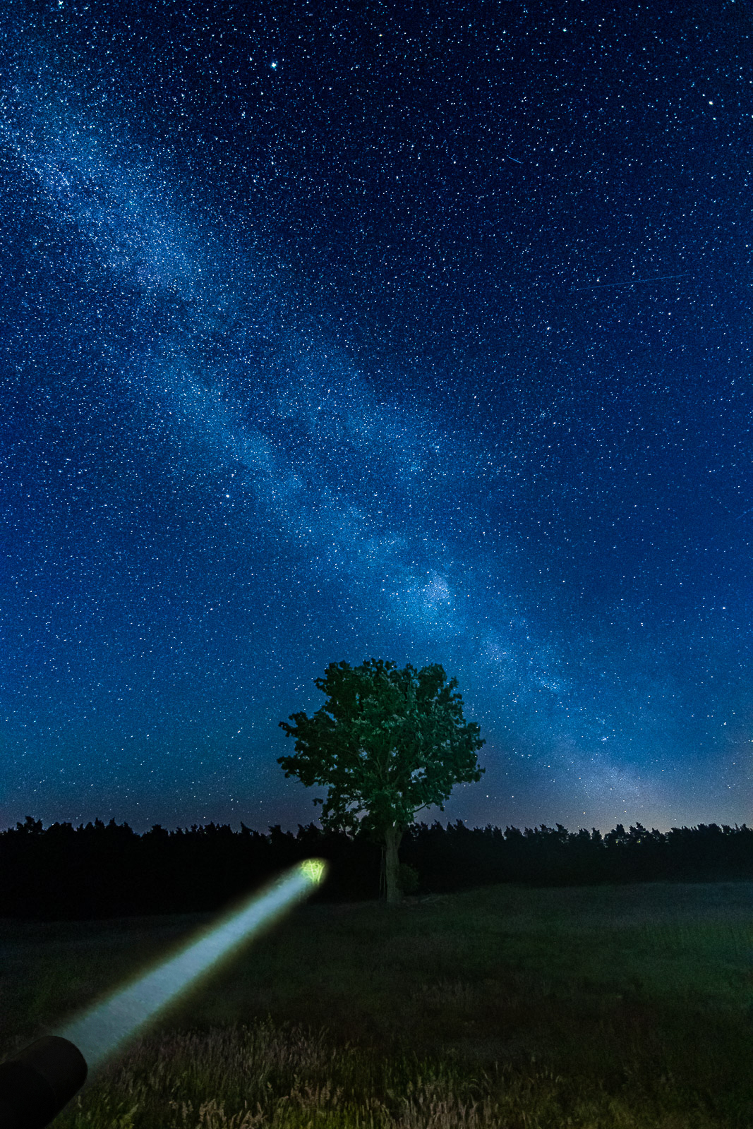 Led Lenser LEP Torch White - Rechargeable 75 → 1000 lm, 176 mm