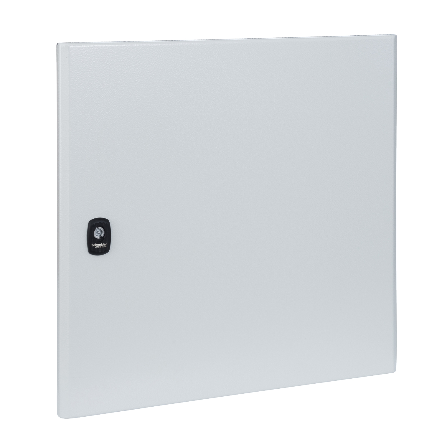 Schneider Electric PanelSeT Pièces détachées Series Lockable Steel RAL 7035 Plain Door, 800mm H, 600mm W for Use with