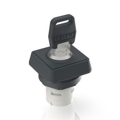 RAFI IP65 Key Switch 2-Way Flat-Key