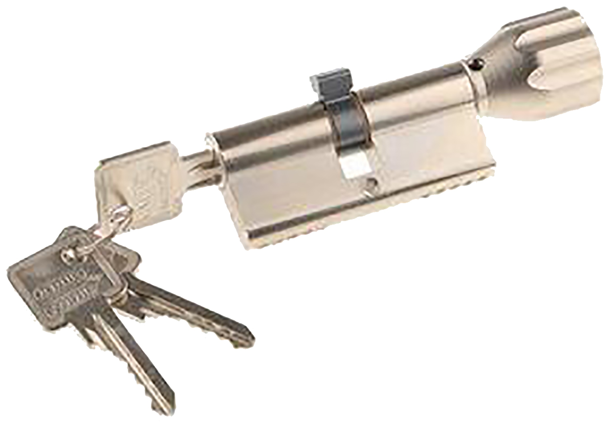 ABUS Brass Euro Cylinder Lock, 30/30 mm (61mm)