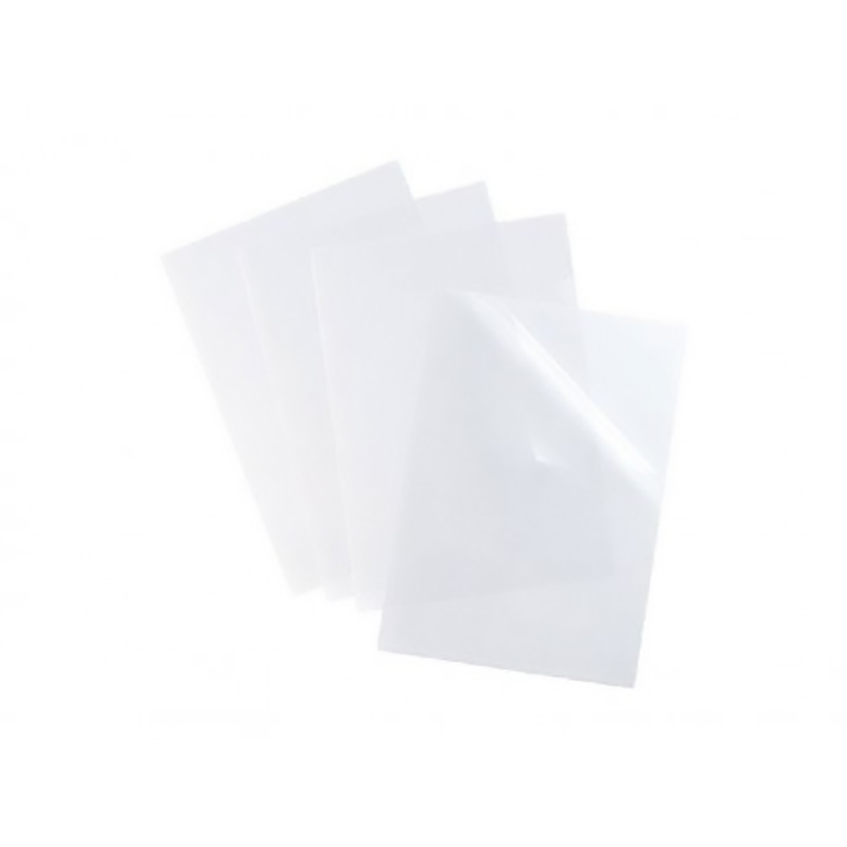 Esselte Transparent PVC Transparent Folder