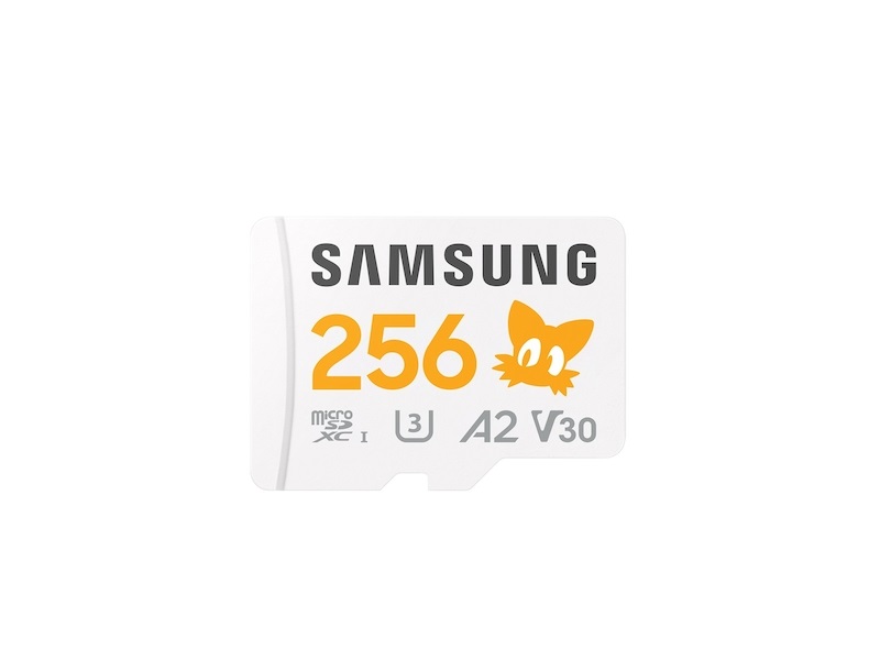 Samsung 256 GB MicroSDXC Micro SD Card, Class 10