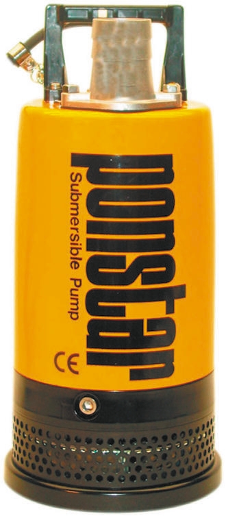 W Robinson And Sons 110 V Direct Coupling Submersible Submersible Water Pump, 290L/min