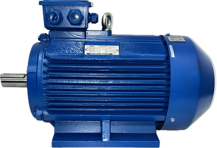 TECO Westinghouse AEEVYY Squirrel Cage Motor AC Motor, 45 kW, IE3, 1 Phase, 4 Pole, 400 V, B3 Foot Mounted Mounting