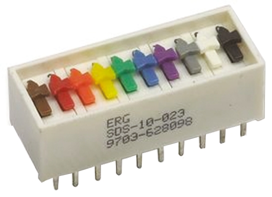 ERG 10 Way Through Hole DIP Switch SPST