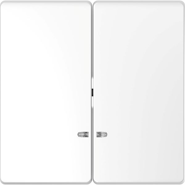 Schneider Electric White Blind & Roller Control Switch, D-Life Series