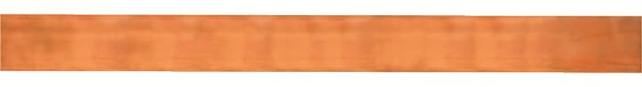 ABB Copper Copper Bar for Use with TriLine