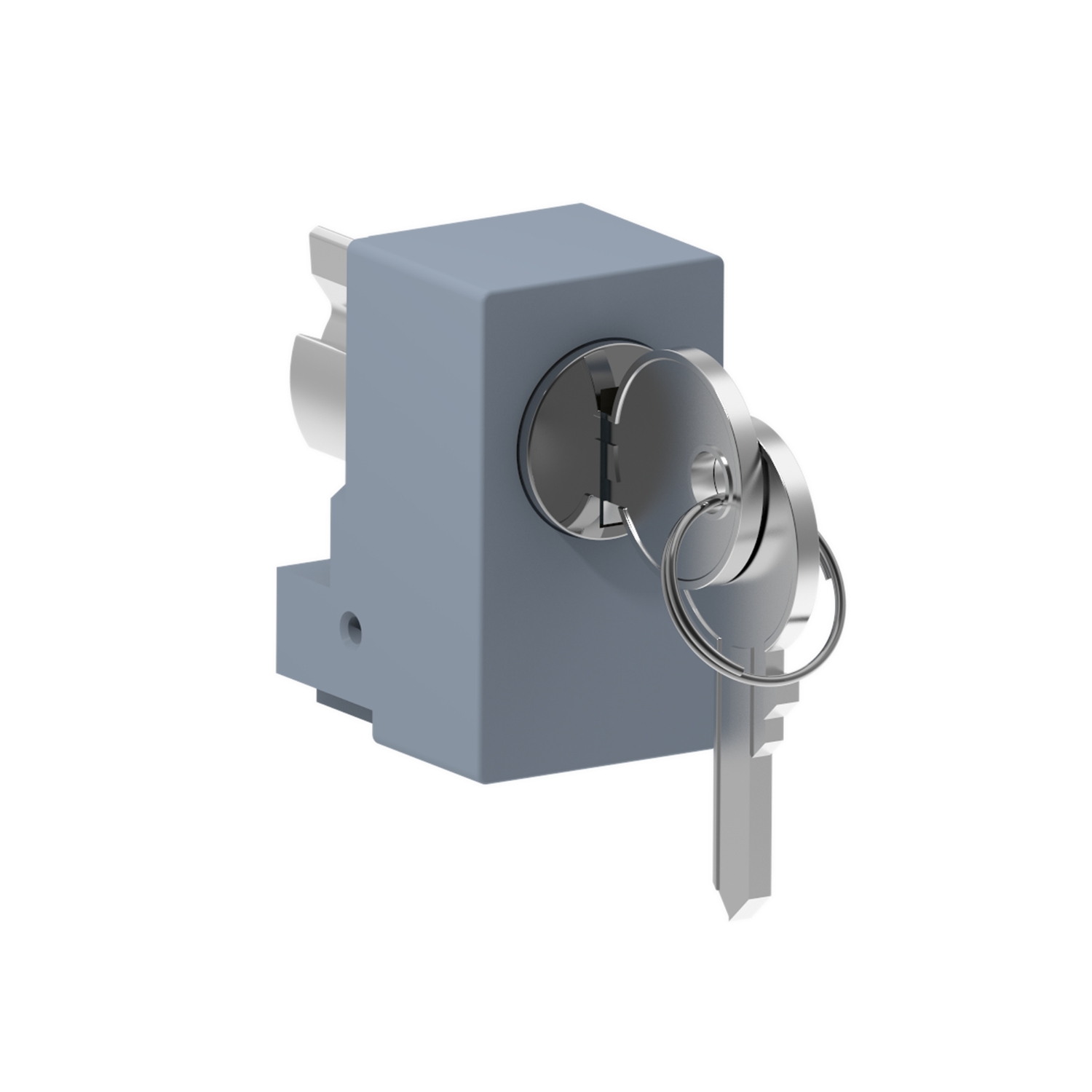 Schneider Electric PanelSeT Series Key Lock For Use With SD, SF, SM And PLA enclosures