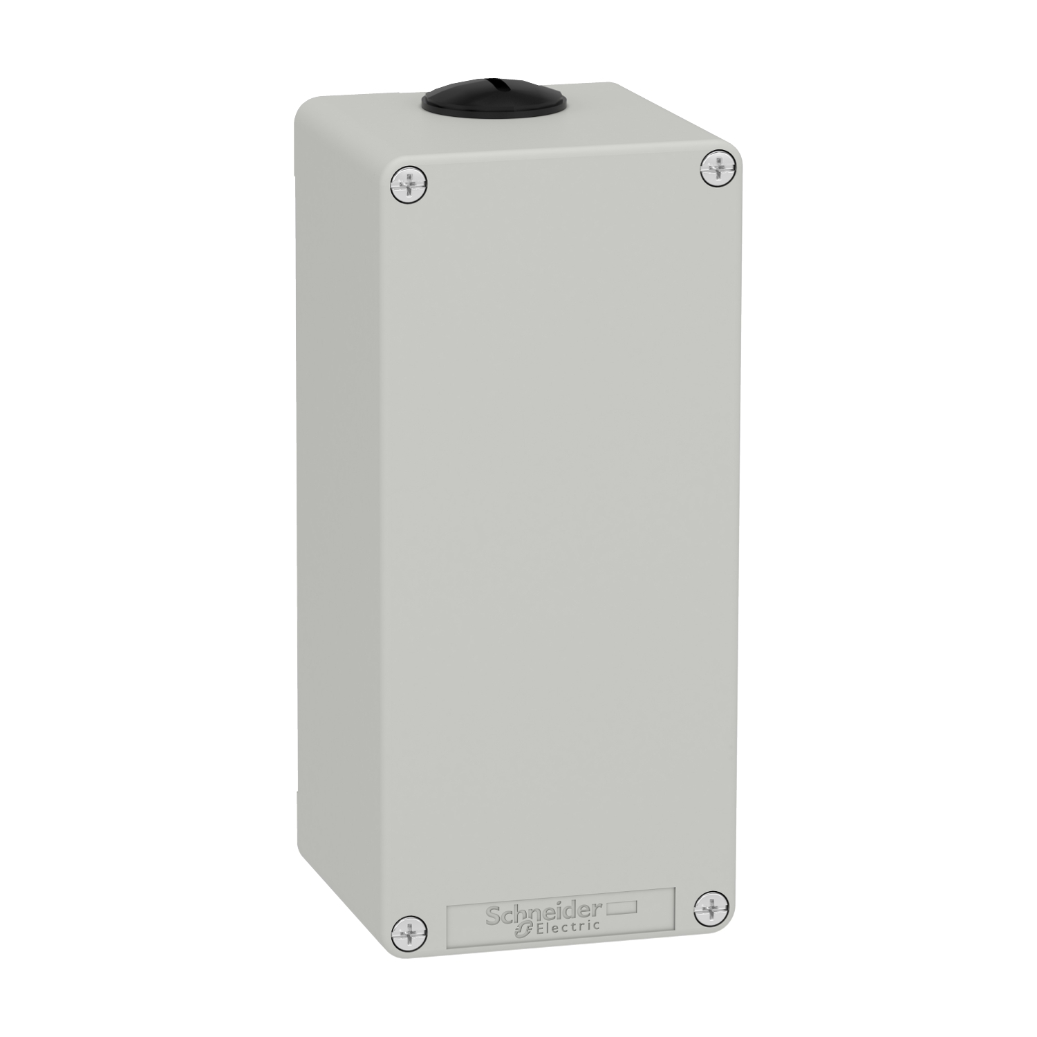 Schneider Electric Metal General Purpose Enclosure, 175 x 80 x 77mm