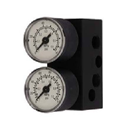 Siemens G 1/4 Pressure Gauge Back Entry