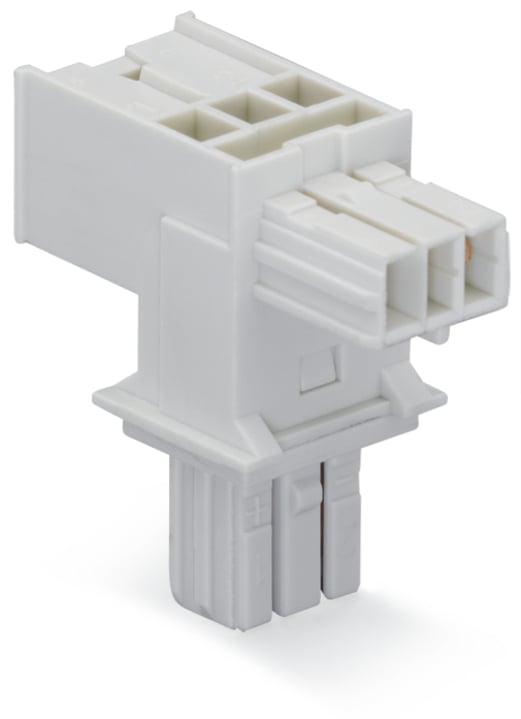 WAGO 893 Series Female Lighting Connector, 2-Pole, Female, 2-Way, Plug-In Mount, 3A, IP20