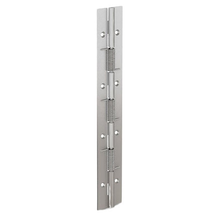 Pinet Steel Spring Hinge, 240mm x 40mm x 1.5mm