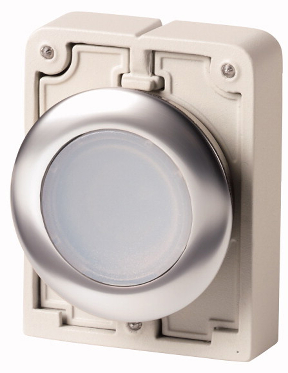 Eaton RMQ Titan M30 Series White Maintained Push Button, 30mm Cutout, IP67