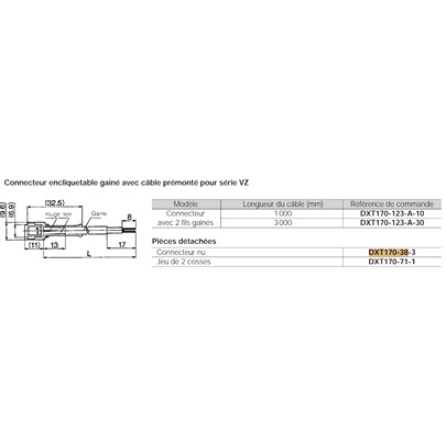 SMC DXT, DXT170-71-1