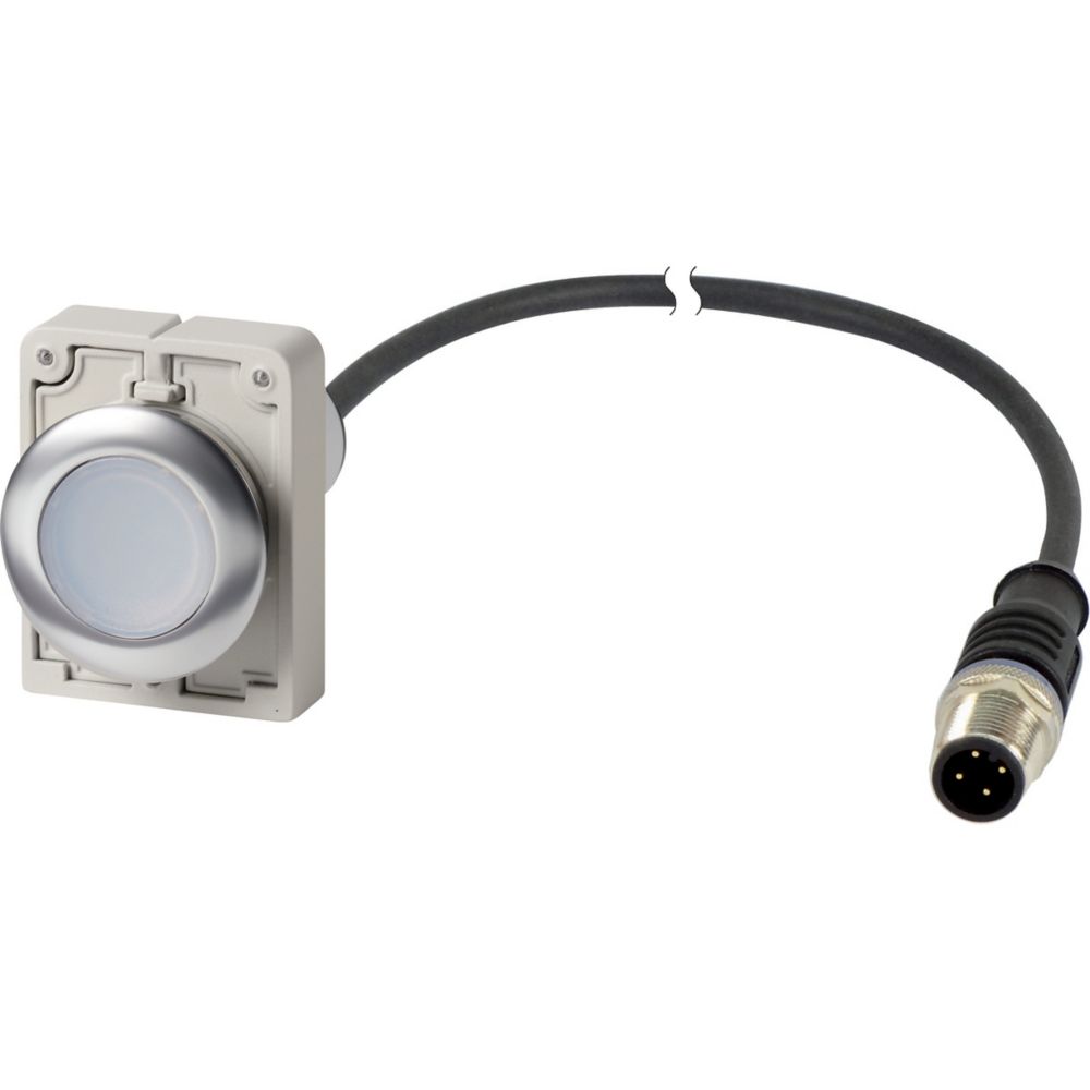 Eaton Series C30 Series Illuminated Illuminated Push Button Switch, Momentary, Threaded, 22.5mm Cutout, 1NO, White LED,
