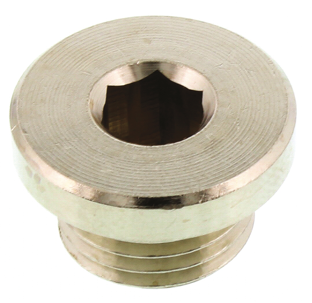 Legris G 1/4 Brass Corrosion Resistant Plug