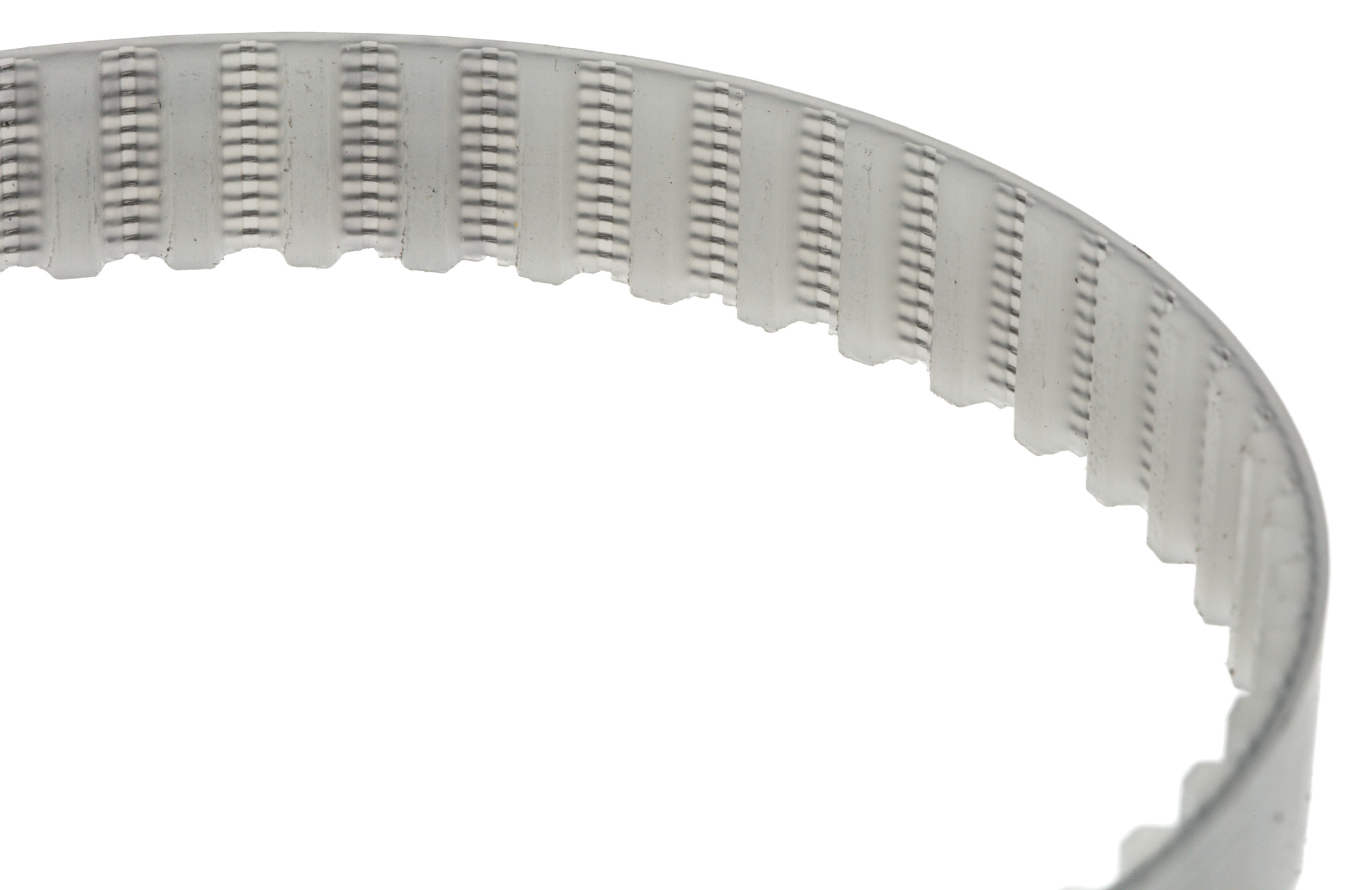 Contitech 10 / T5 / 365 SS Timing Belt, 73 Teeth, 365mm Length, 10mm Width