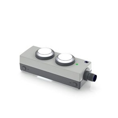RAFI Momentary Contact Control Station Switch - DPST, 2 Cutouts, Transparent, IP65