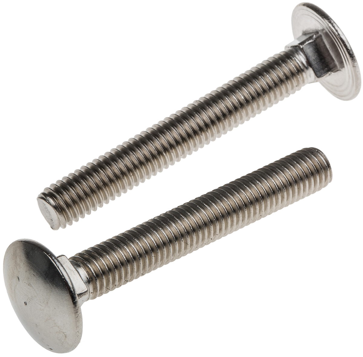 Plain Stainless Steel Coach Bolt, M8 x 60mm