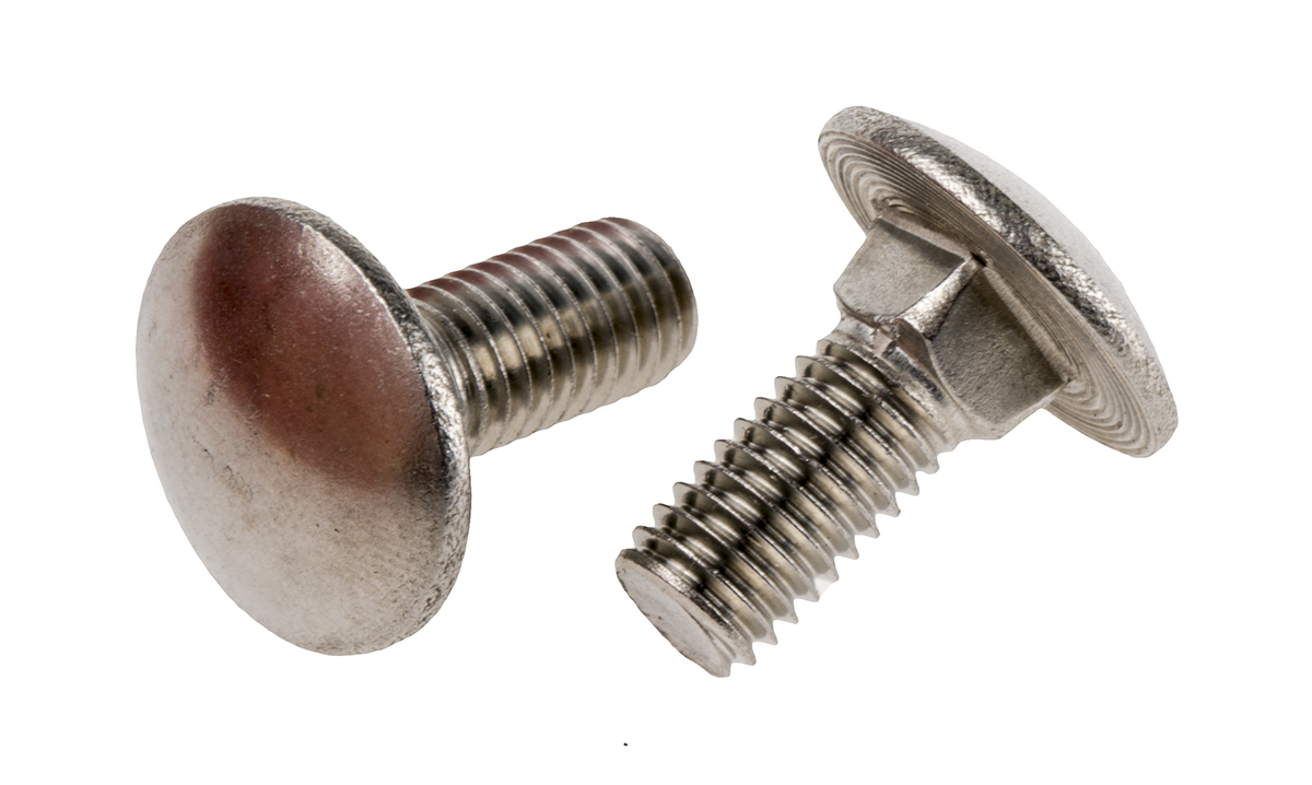Plain Stainless Steel Coach Bolt, M8 x 20mm