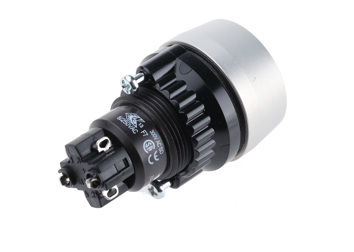 EAO IP65 Keylock Switch, 1NC+1NO, 5 A @ 250 V ac 2-Way Flat-Key