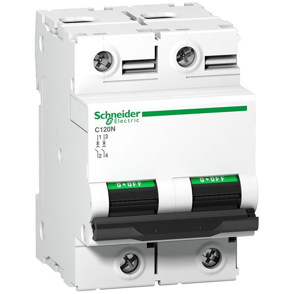 Schneider Electric C120 A9N Circuit Breaker, 2P, 100A, Type AC, 415V AC, 250V DC, 10 kA Breaking Capacity