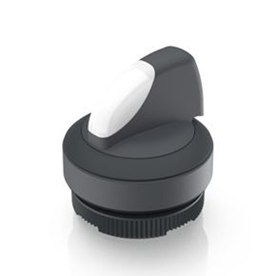 RAFI Selector Switch - 22.3mm Cutout Diameter, Illuminated 1 Positions