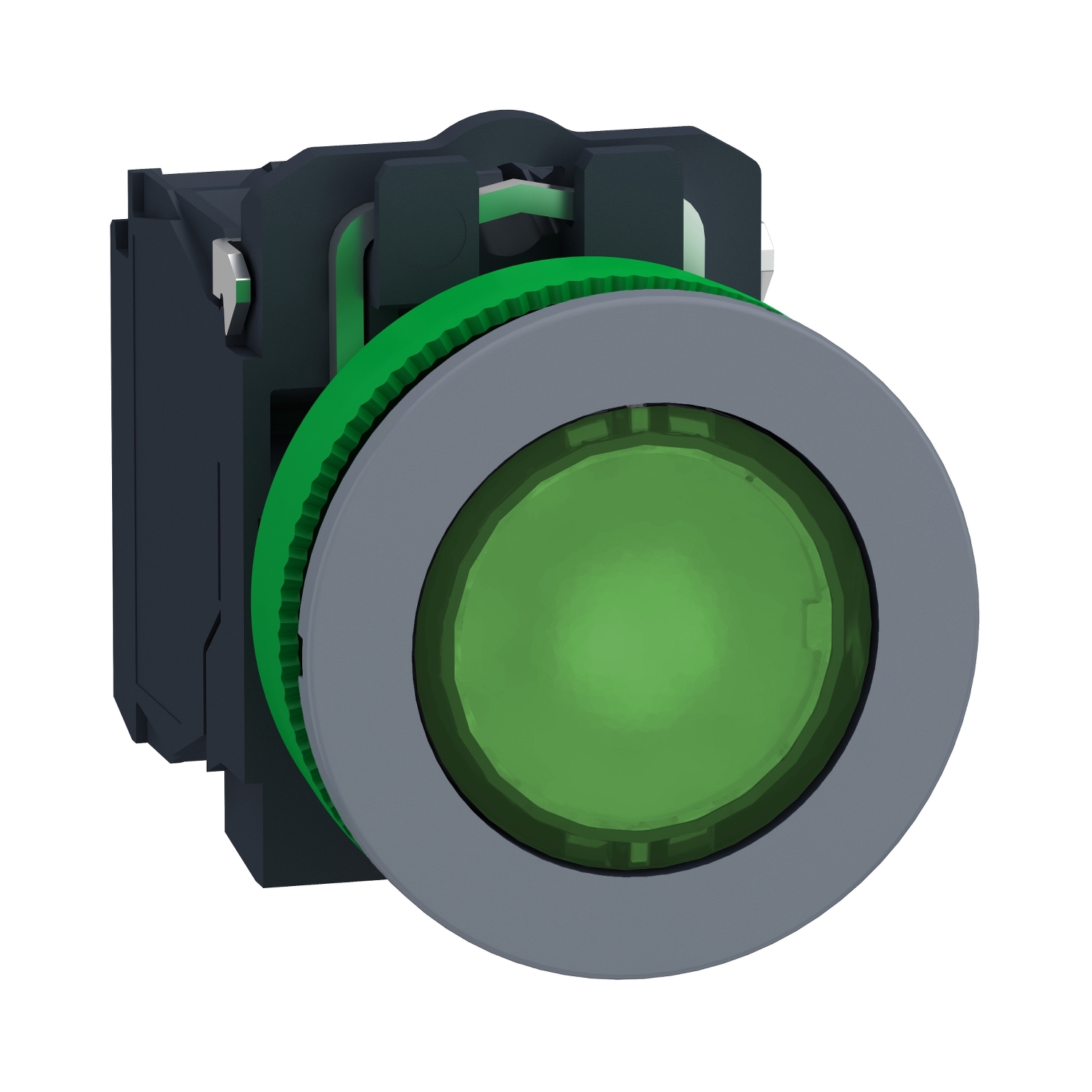 Schneider Electric XB5 Series Illuminated Push Button, Panel Mount, 30.5mm Cutout, SPDT, 24V