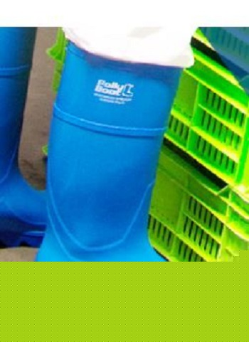 Pollyboot Steel Toe Capped Unisex Safety Boot, UK 8, EU 42