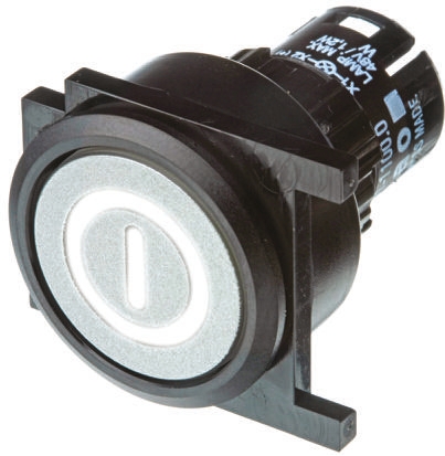 EAO Silver Momentary Push Button Head, IP65