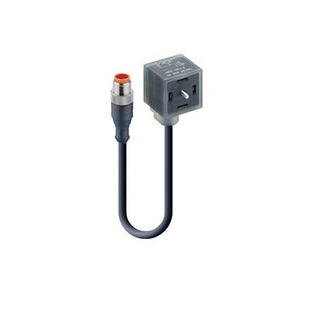 Lumberg Automation Male 3 way Straight M12 to Female 4 way Valve Connector Cordset, 2 m