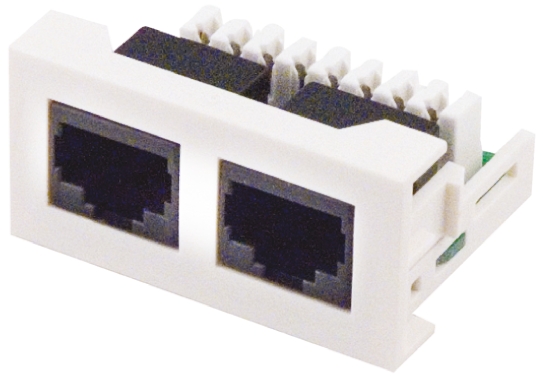 RS PRO 2 Way Cat6e, IDC Faceplate