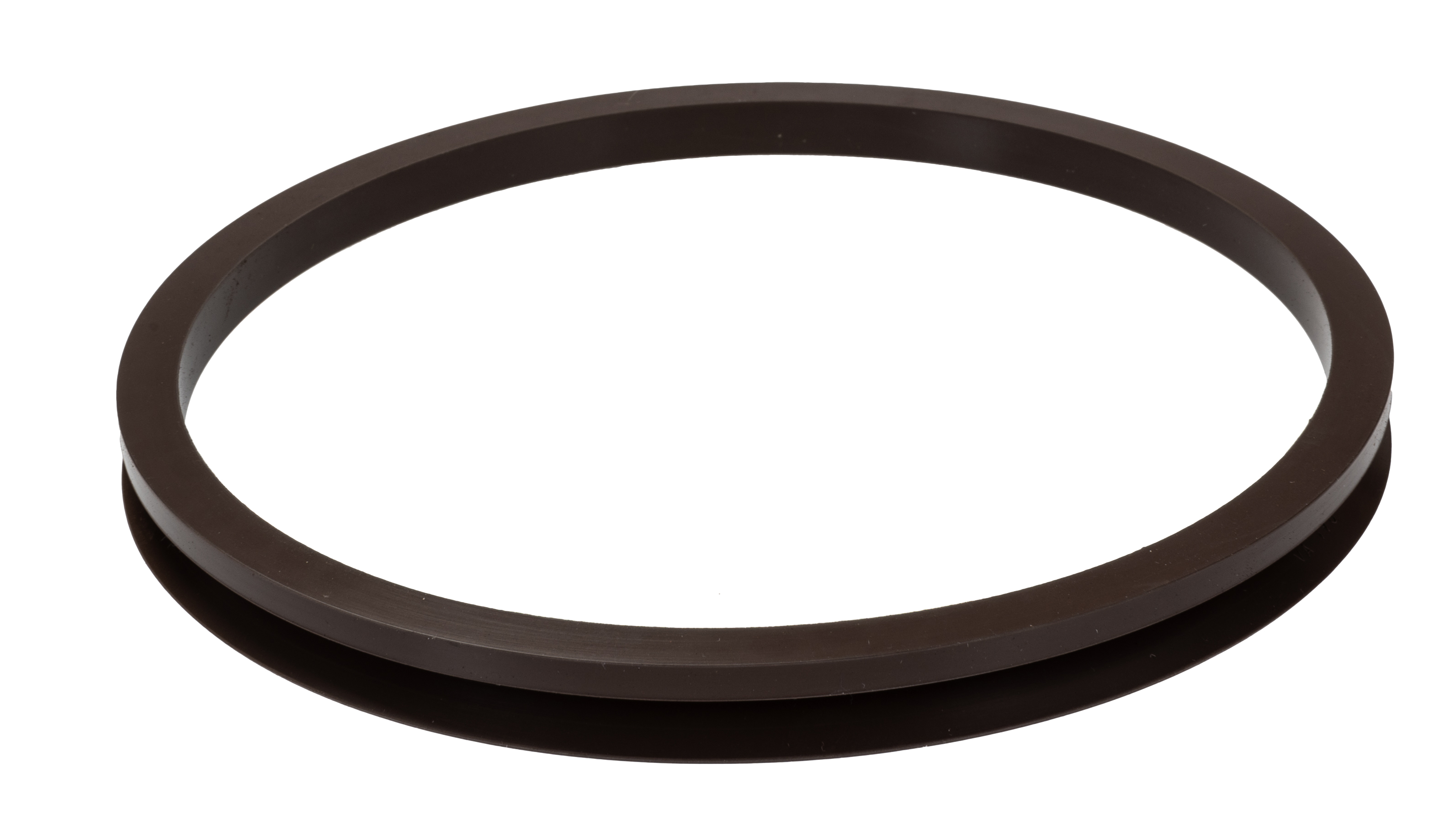 SKF FKM Seal, 153mm ID, 165mm OD, 14.5mm