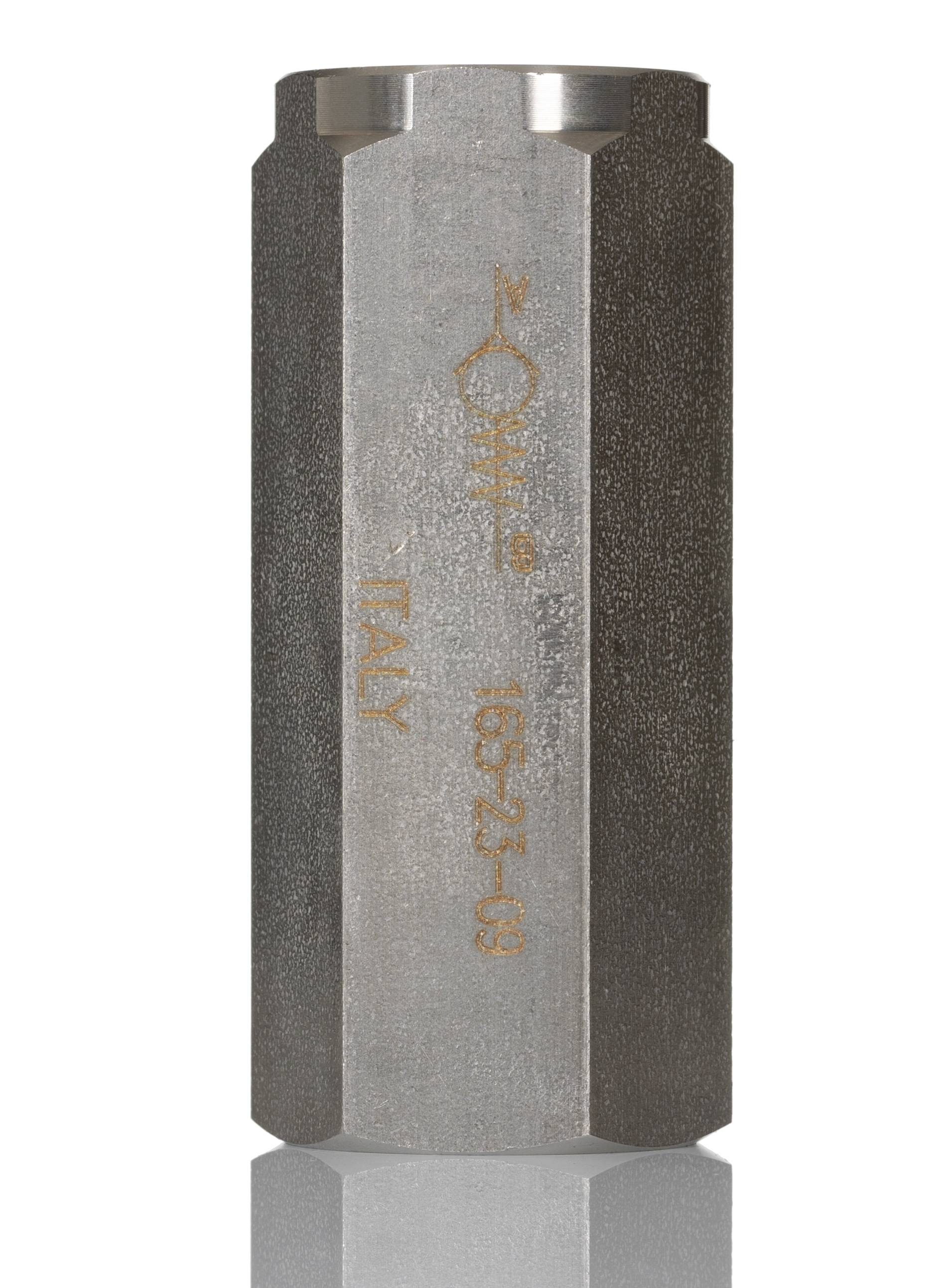 RS PRO Stainless Steel, Steel Inline Mounting, Hydraulic Check Valve, BSP 1/2, 65L/min