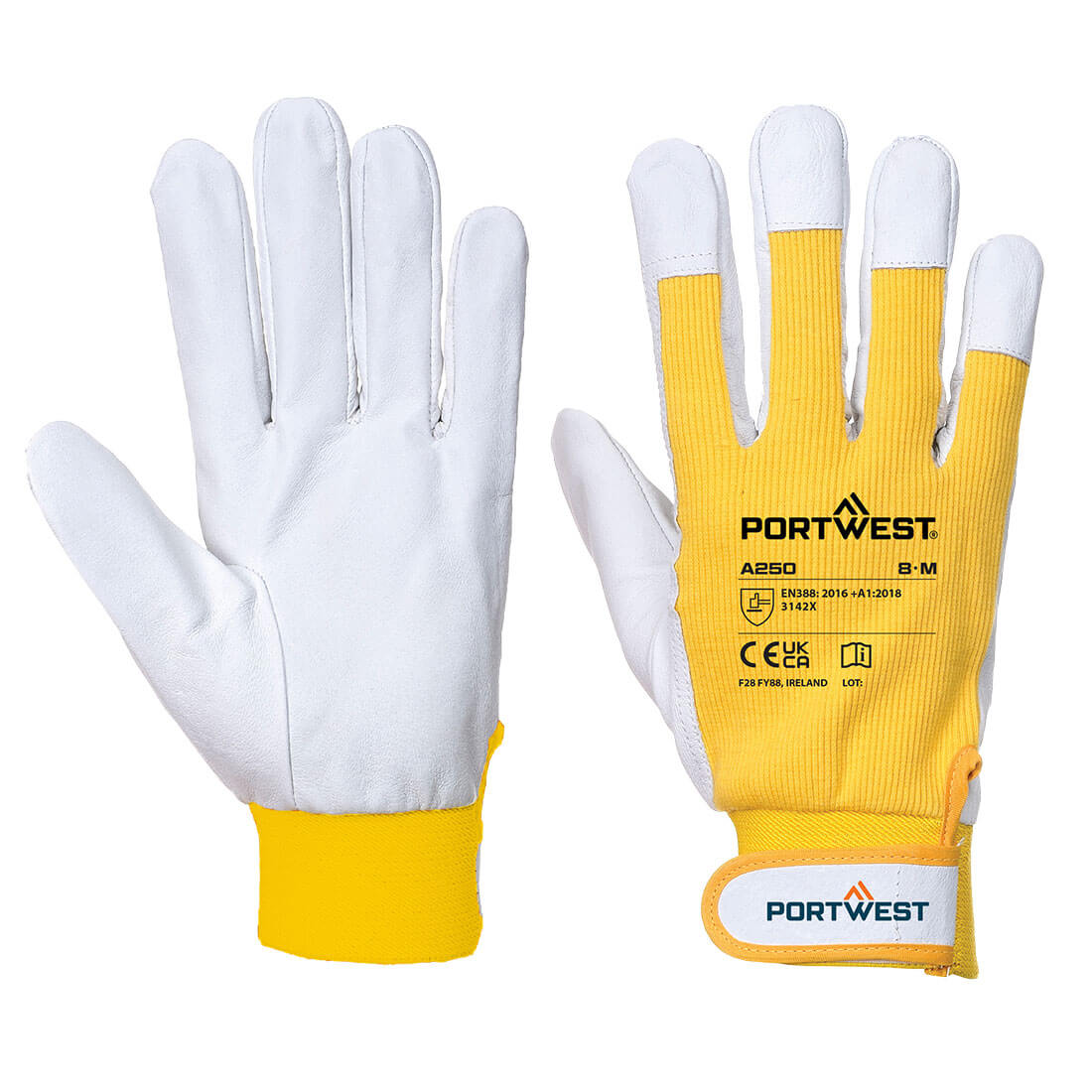 Portwest Hand Protection Blue Cotton, Leather, Polyester Work Gloves, Size L