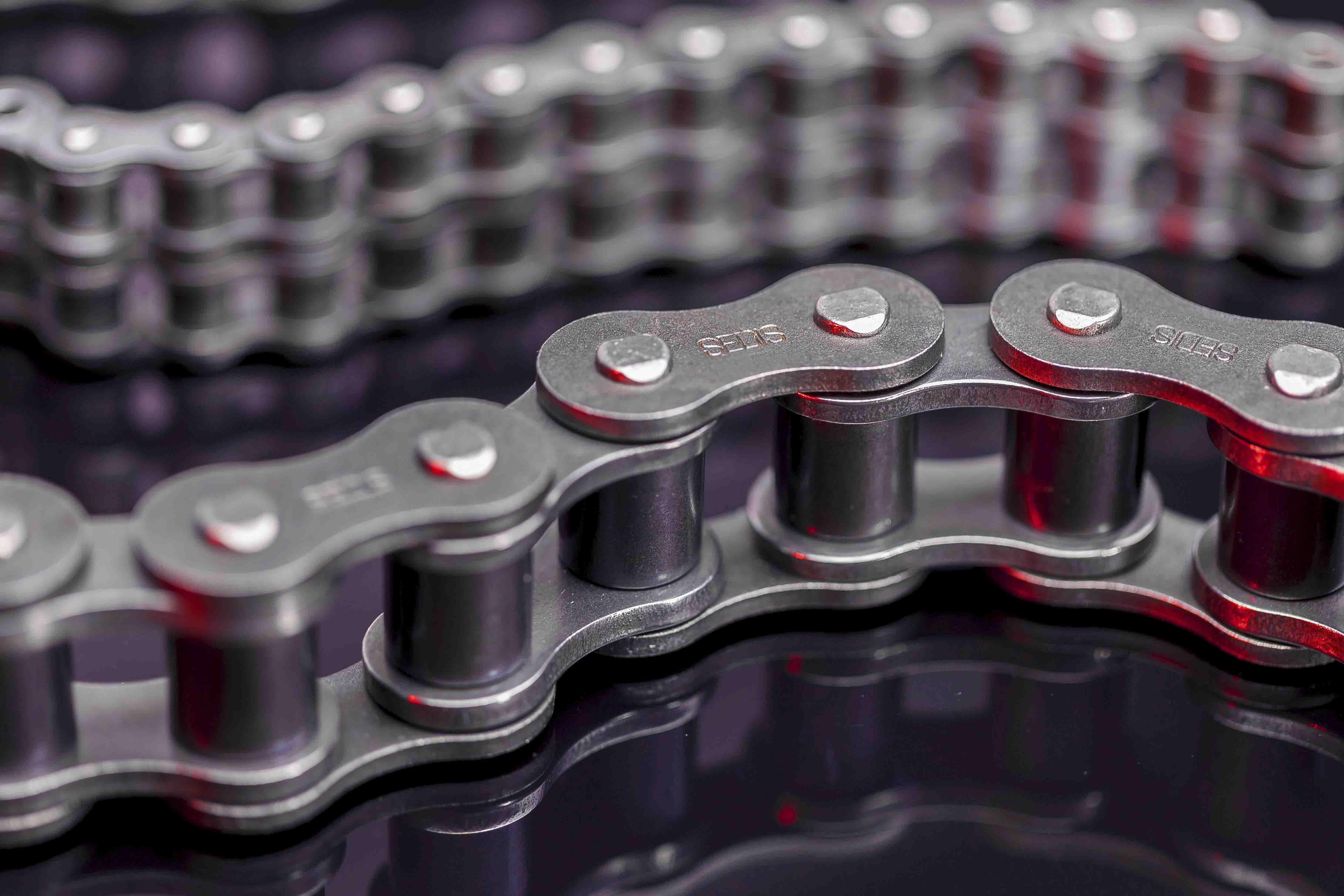 Sedis 20B-1 Simplex Roller Chain, 5m, ALPHA