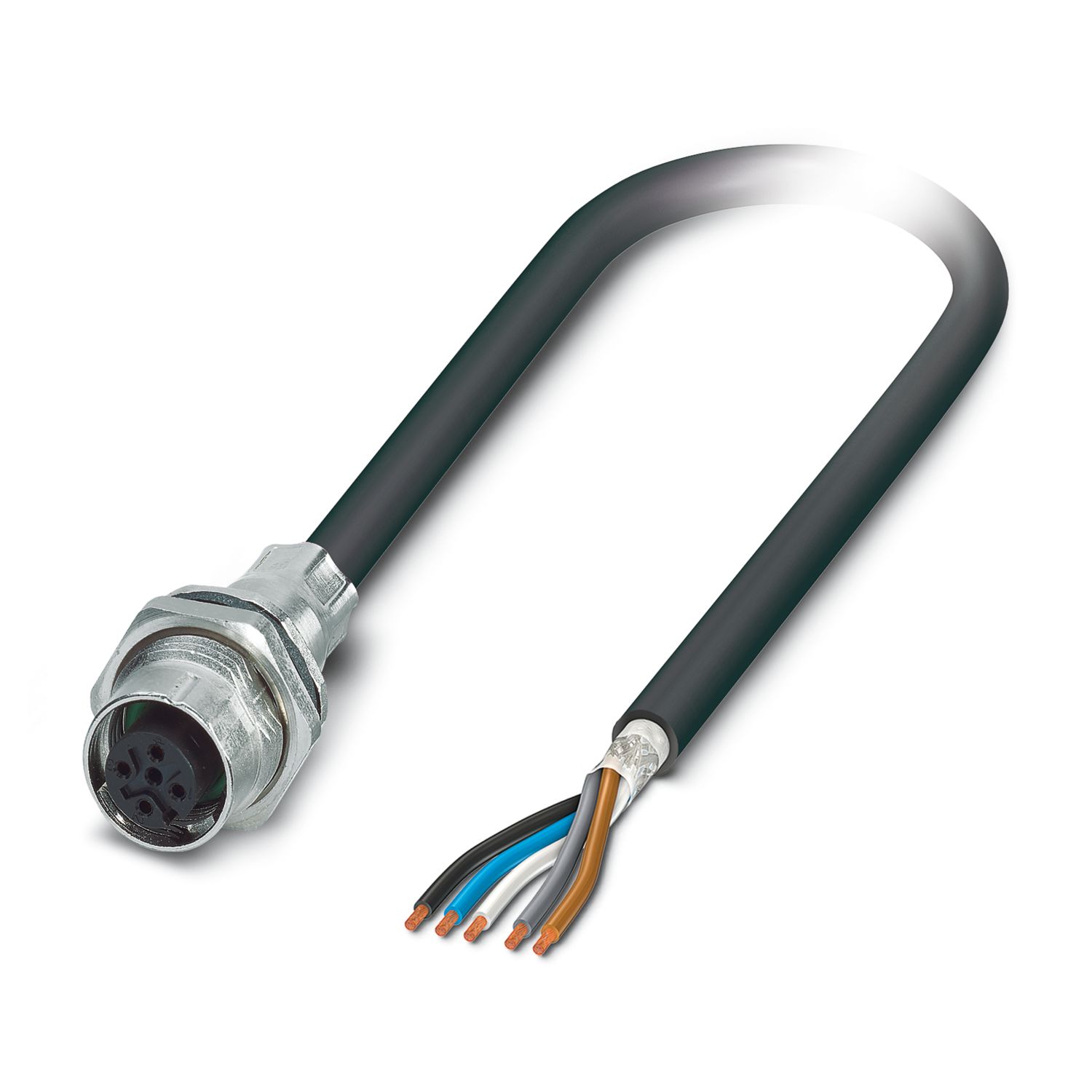 Phoenix Contact Straight Female 5 way M12 to Straight Unterminated Sensor Actuator Cable, 2m
